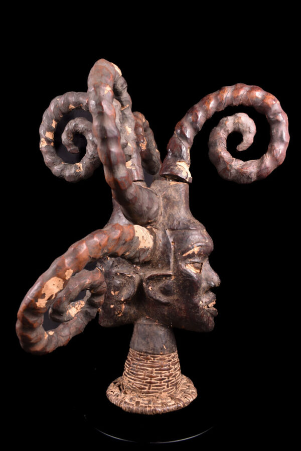 Crest Mask - Wood, Antelope skin - Ejagham - Ekoi - Nigeria