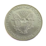 USA 1 Dollar 2005 American Silver Eagle - Walking Liberty