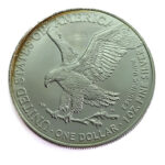 USA 1 Dollar 2021 American Silver Eagle