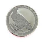 Grade: BU Material: Silver Weight: 31.14 g Fineness: 999 ‰ ( 31.10 g fine) Diameter: 40.60 mm