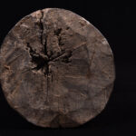 Ancestor figure - Wood - Kusu - DR Congo