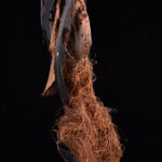 Kidumu Mask - Wood, Raphia - Teke - DR Congo