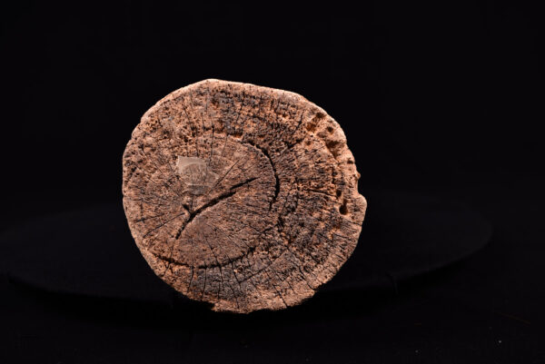 Ancestor figure - Wood - Dogon - Mali