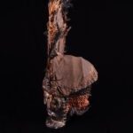Chihongo Mask - Feathers, Wood - Chokwe - DR Congo