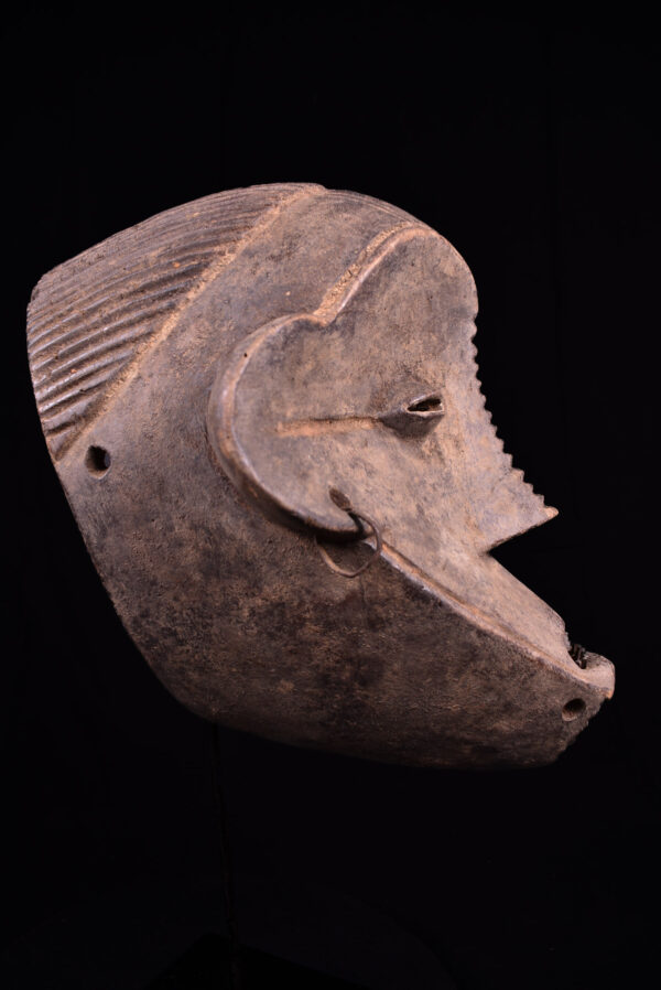 Initiation mask - Wood - Ngbaka - DR Congo