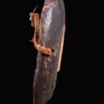 Mask - Wood - Kwele - Gabon