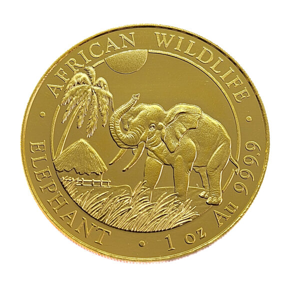 Somalia 1000 Shillings 2007 Elephant