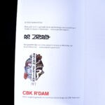 Ewe Venavi Togo Figure Book